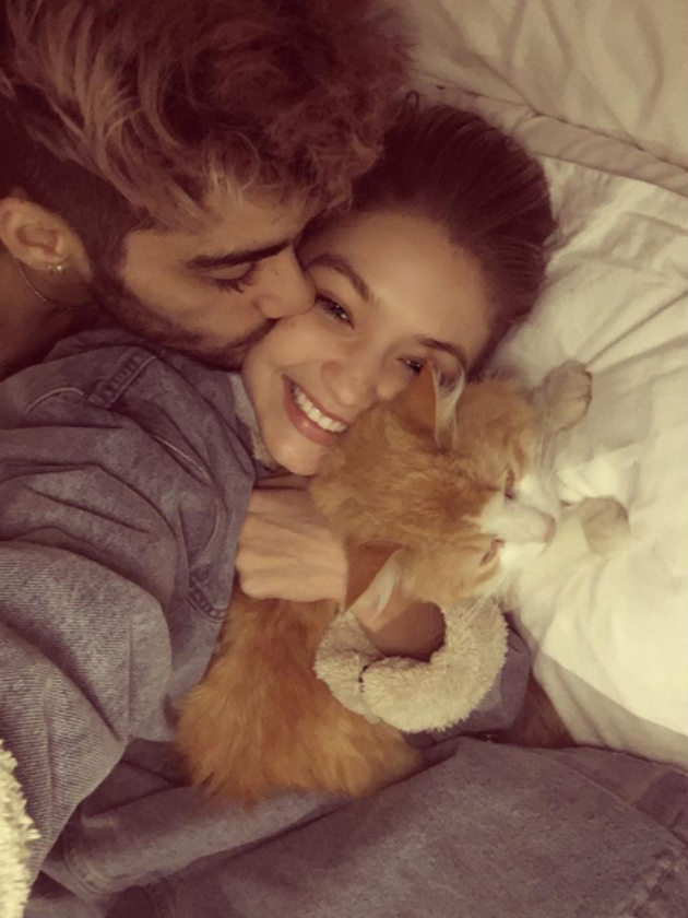 Gigi Hadid and Zayn Malik pay tribute to Gigi’s ‘dead’ cat in a heartbreaking way