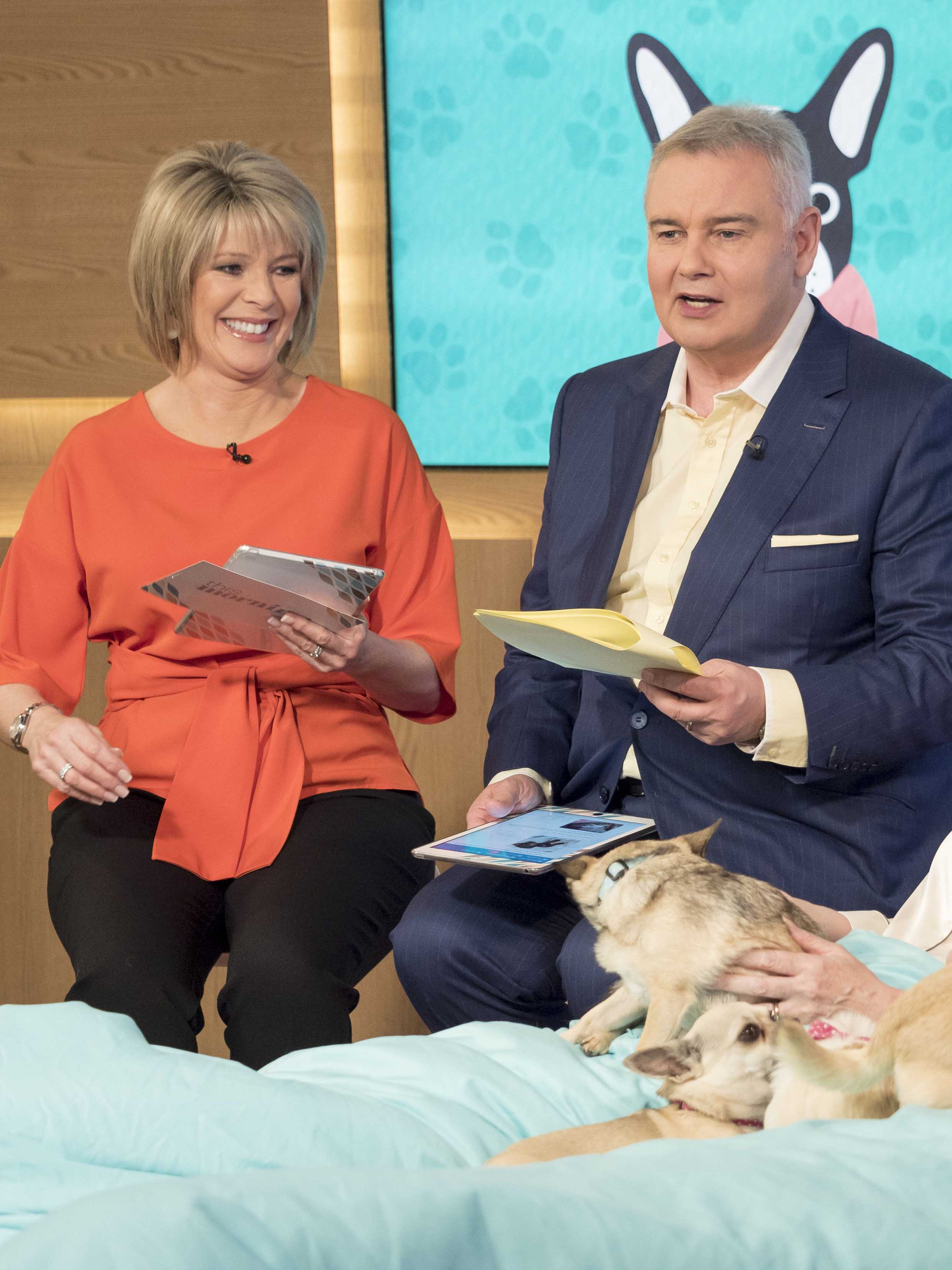 ‘Errr, I’m eating!’ This Morning viewers left unimpressed after a dog VOMITS on live TV