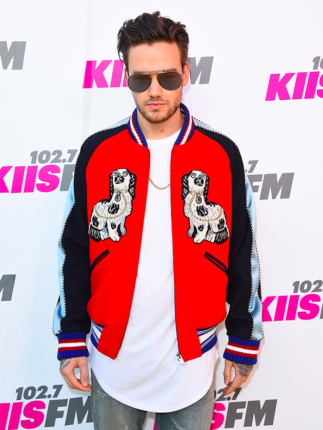 ‘Playing the shade game?’ Fans think Liam Payne has taken a swipe at One Direction with new lyrics