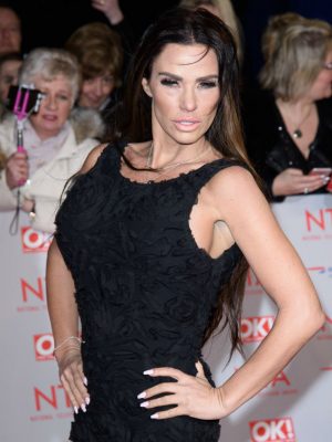 Shock Photos! Katie Price, Madonna and Pamela Anderson: What have you done to your face?