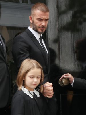 Harper Beckham, David Beckham