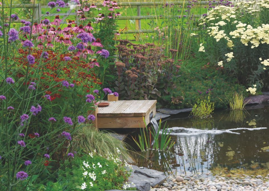 The ultimate guide to water features in your garden