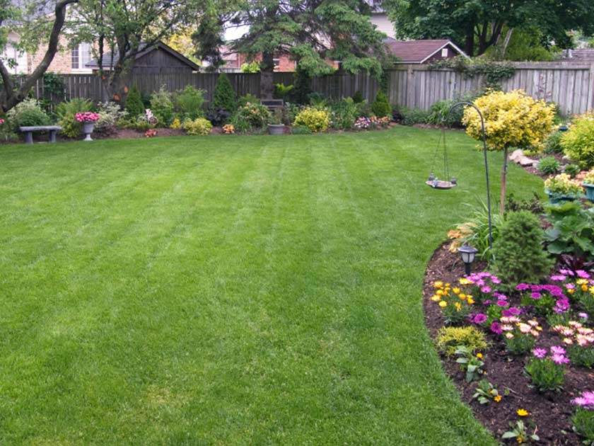 Spruce up your garden lawn for spring