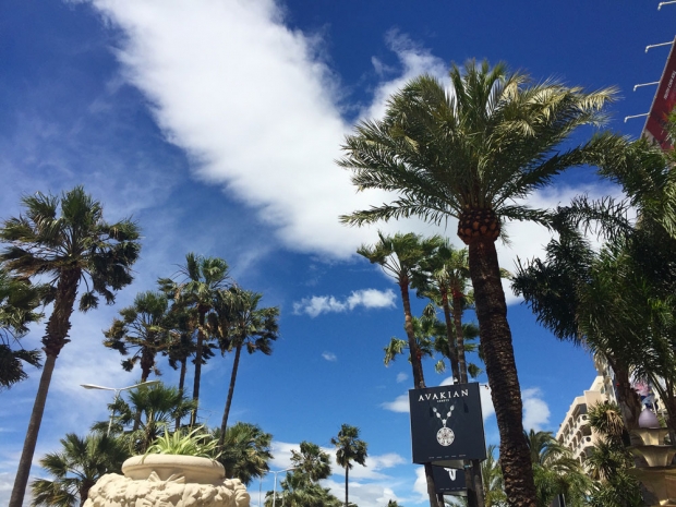 Cannes is just as beautiful as it looks in the photos