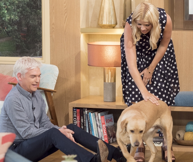 Have Holly Willoughby And Philip Schofield Fallen Out Look 