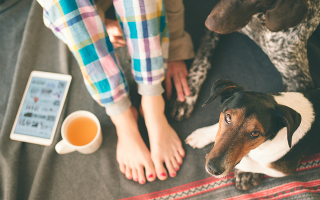 The Sick-Day Excuse Generator That You *Need* In Your Life
