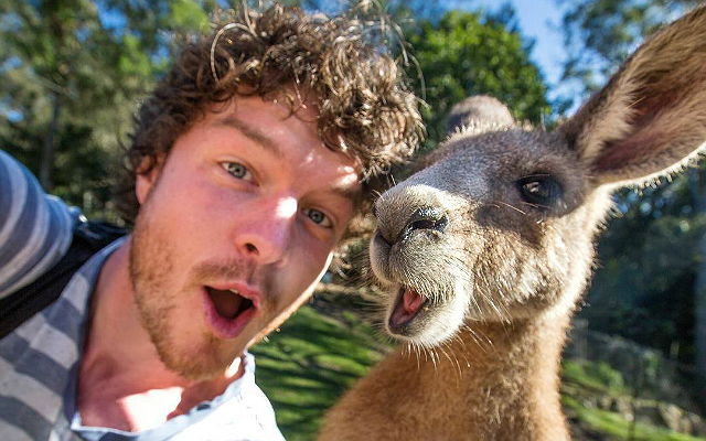 This Guy Travels The World Taking Selfies With Cute Animals For A Living!