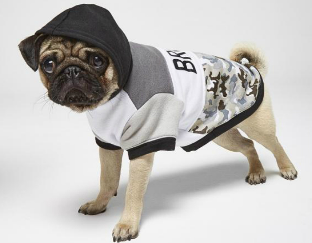 River Island Has Launched A Fashion Brand For Dogs