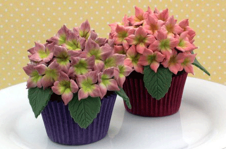hydrangea cupcakes recipe