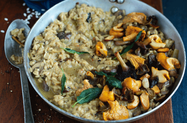 Wild muchroom risotto