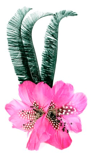Exclusive 20% off Rosie Fox
