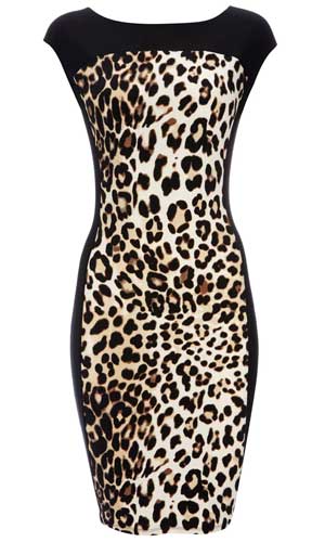 Snap up this statement animal-print dress from Wallis for just £30