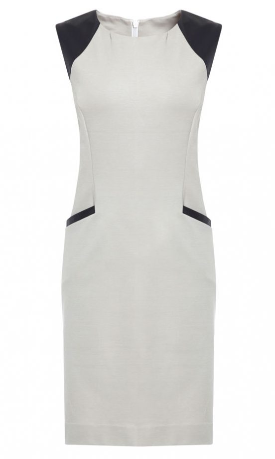 Next AW12 Shift Dress, £32