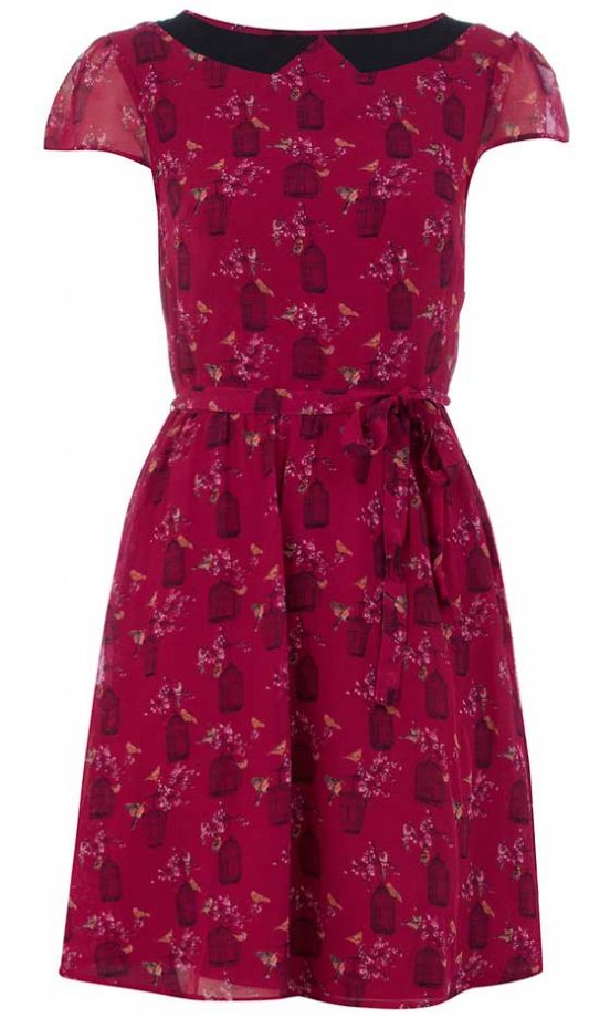 Dorothy Perkins Birdcage Print Dress, £38