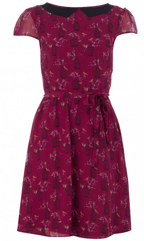 Dorothy Perkins Birdcage Print Dress, £38