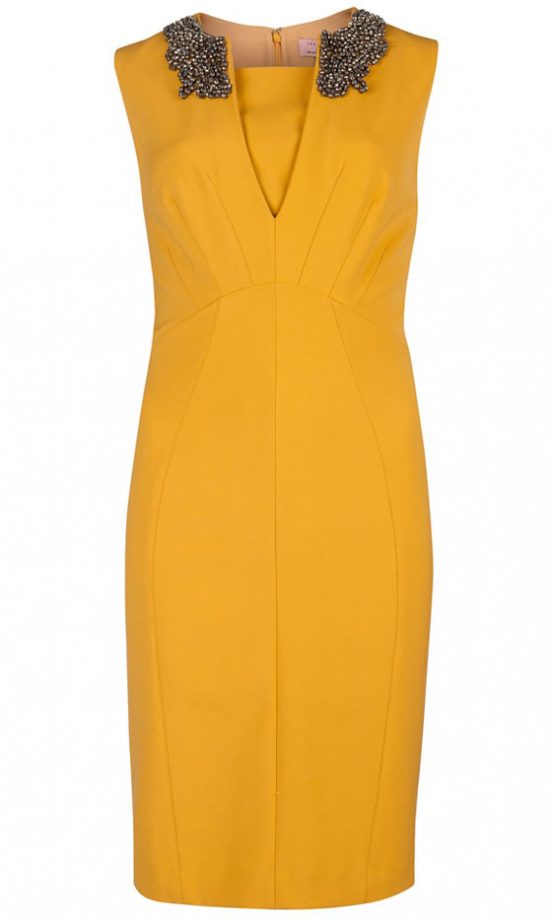 Ted Baker Embellished Neckline Dress, £159