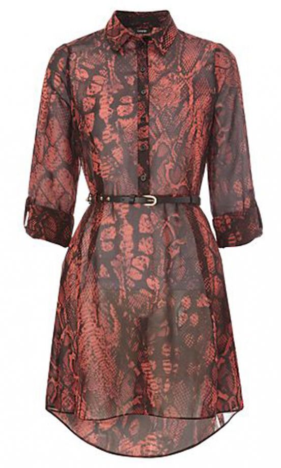 George At Asda Snake Print Shirt Dress, £16