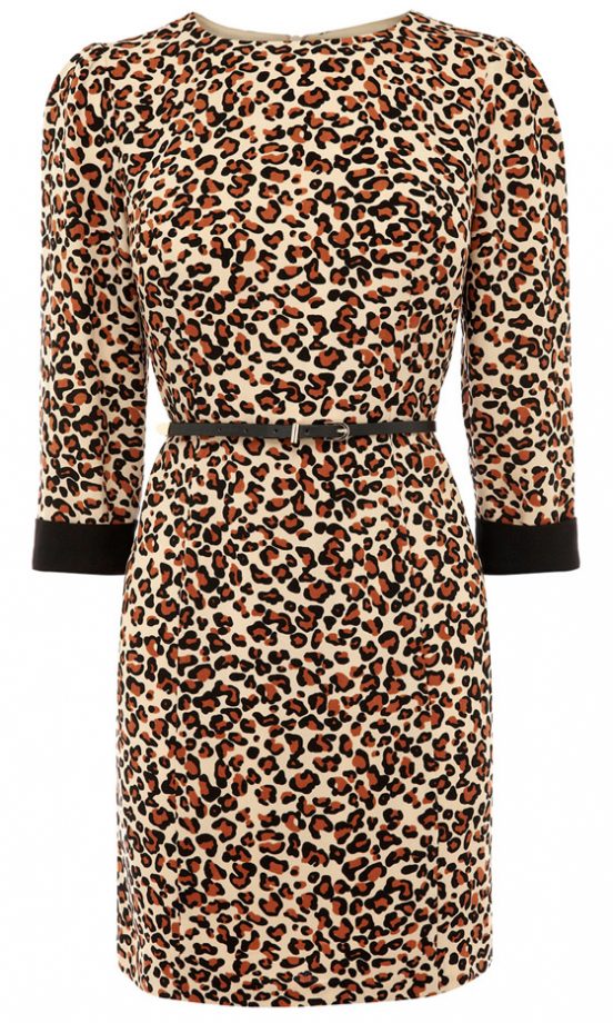 Oasis Leopard Print Dress, £60