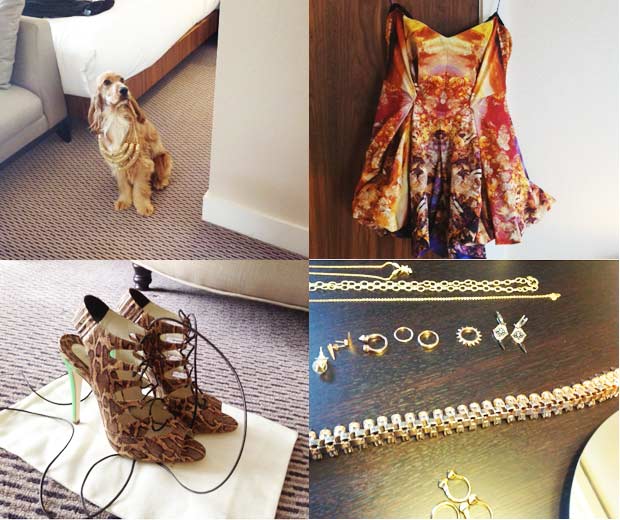 "Alesha's dog Prince also gave us his opinion on the styling: 'It's a woof from me! x'