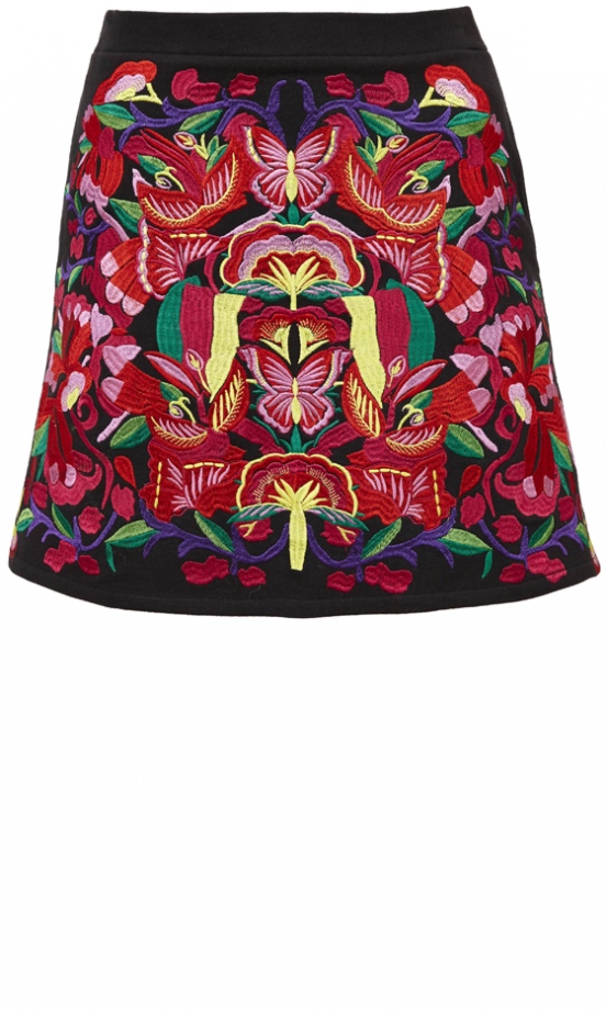 Asos AW13 Embroidered Mini Skirt, £60