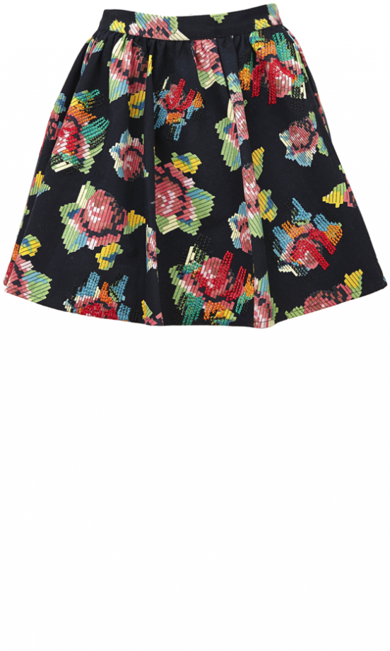 Asos AW13 Tapestry Skater Dress, £36