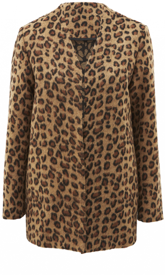 Asos AW13 Animal Print Blazer, £55
