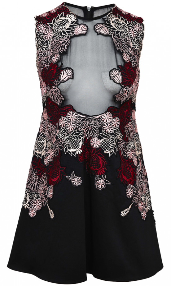 Asos AW13 Floral Mesh Dress, £85