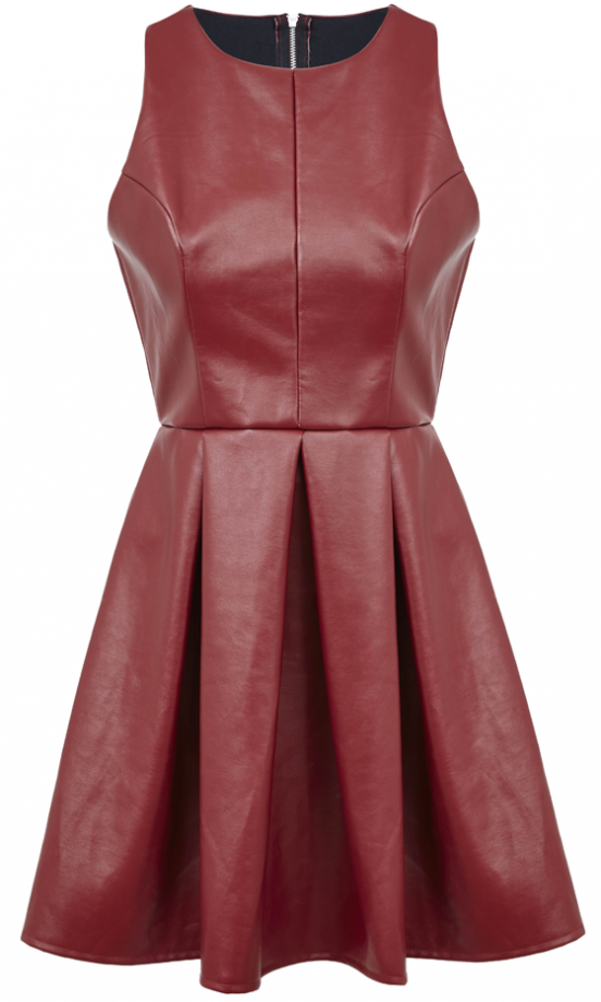 Asos AW13 PU Pleated Dress, £55