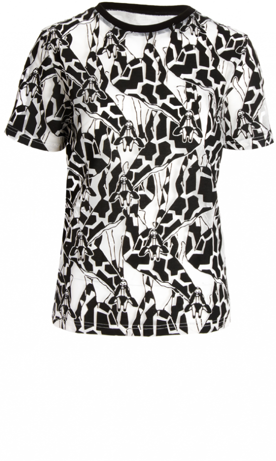Asos AW13 Floral Print T-Shirt