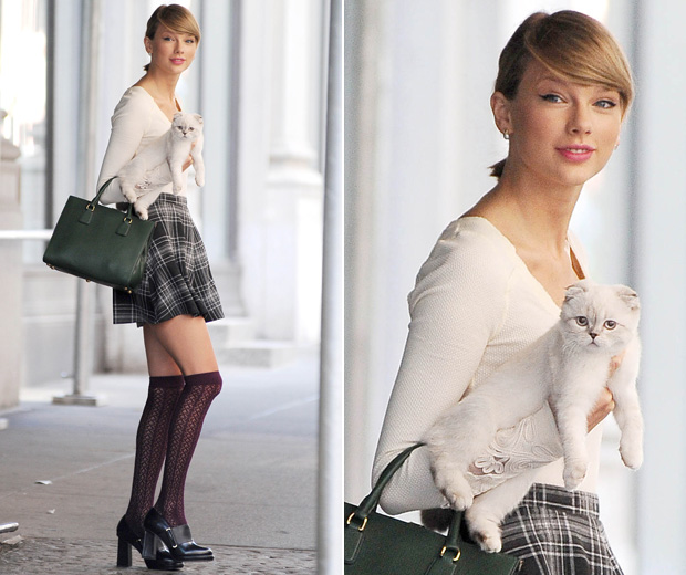 Taylor Swift stepped out with her cat Olivia Benson
