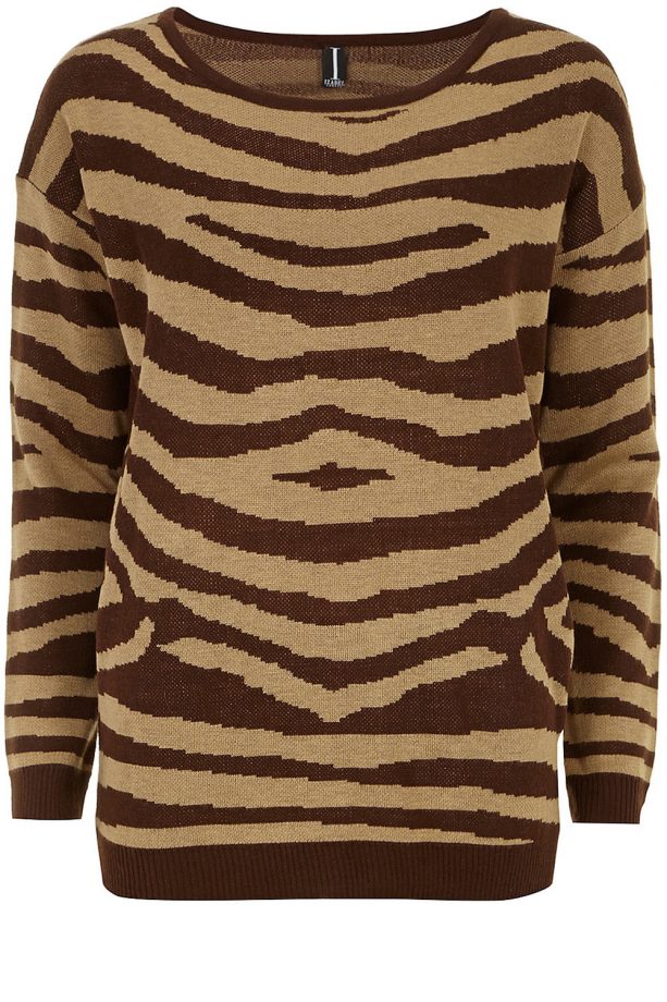 Dorothy Perkins Brown Zebra Knit, £28