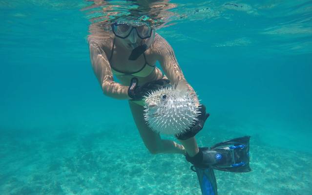 This is what it's like to be a marine biologist