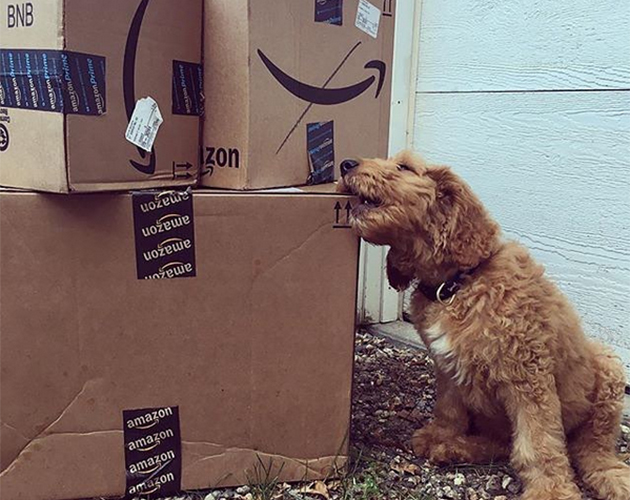 Amazon’s Black Friday Sale Has Your Christmas Shopping Sorted
