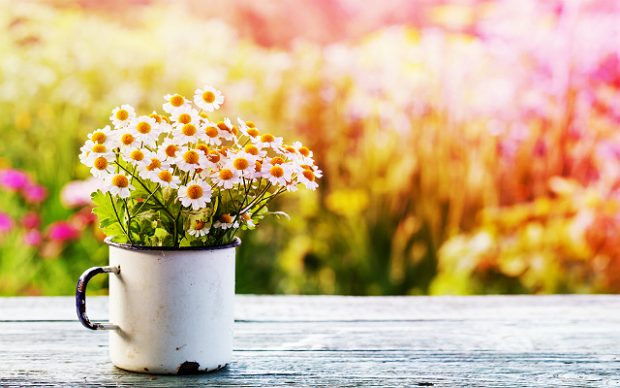 Image credit: Shutterstock
