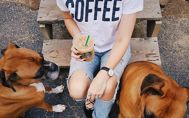 starbucks