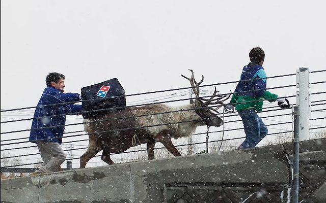 Domino’s Could Deliver Your Pizza By Reindeer This Christmas