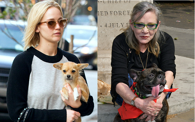 What Kind Of Dog Parent Are You? Take The Test