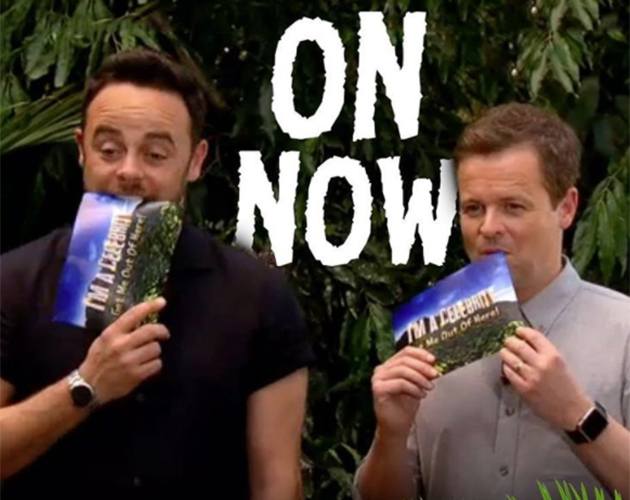 Ant And Dec Suffer Awkward Technical Glitch On I’m A Celebrity Get Me Out Of Here