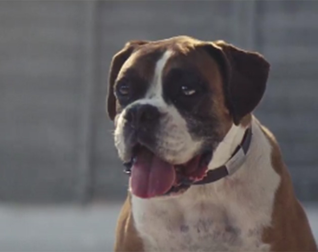 Does The John Lewis Advert Tell Children That Santa Isn’t Real?!