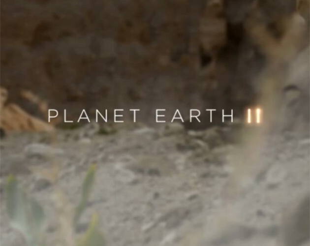 Planet Earth 2 Producers Are Forced To Defend One ‘Brutal’ Scene