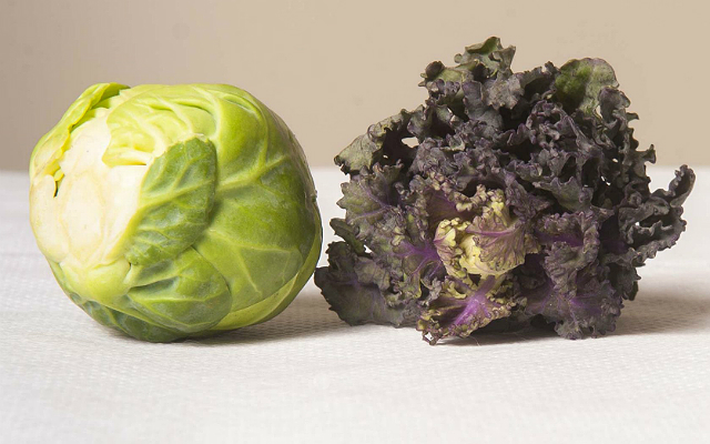 A Hybrid Of Kale And Sprouts, Kalettes, Could Be A Part Of Your Christmas Dinner This Year