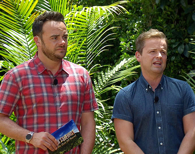 Um. Did Ant and Dec Really Just Fall Out On I’m A Celebrity…?