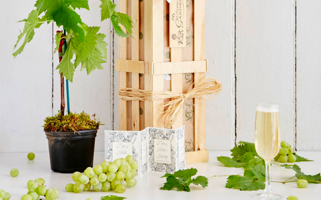 You Can Now ACTUALLY Grow Your Own Prosecco From Home