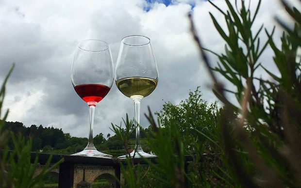 vivino
