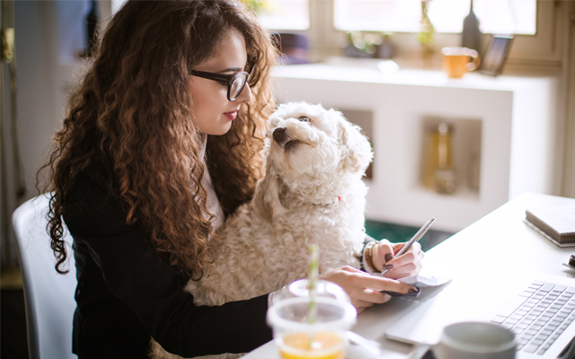 12 reasons your dog is your BFF