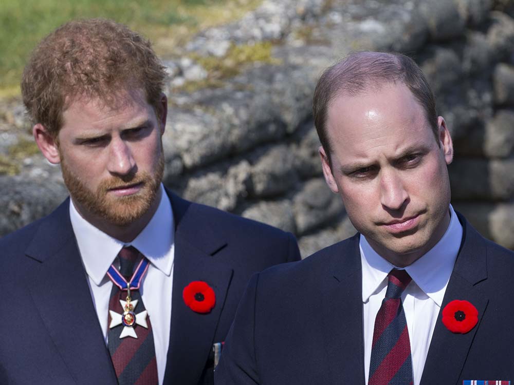 One Celebrity Upsets A Lot Of People With Comments About Prince William And Harry