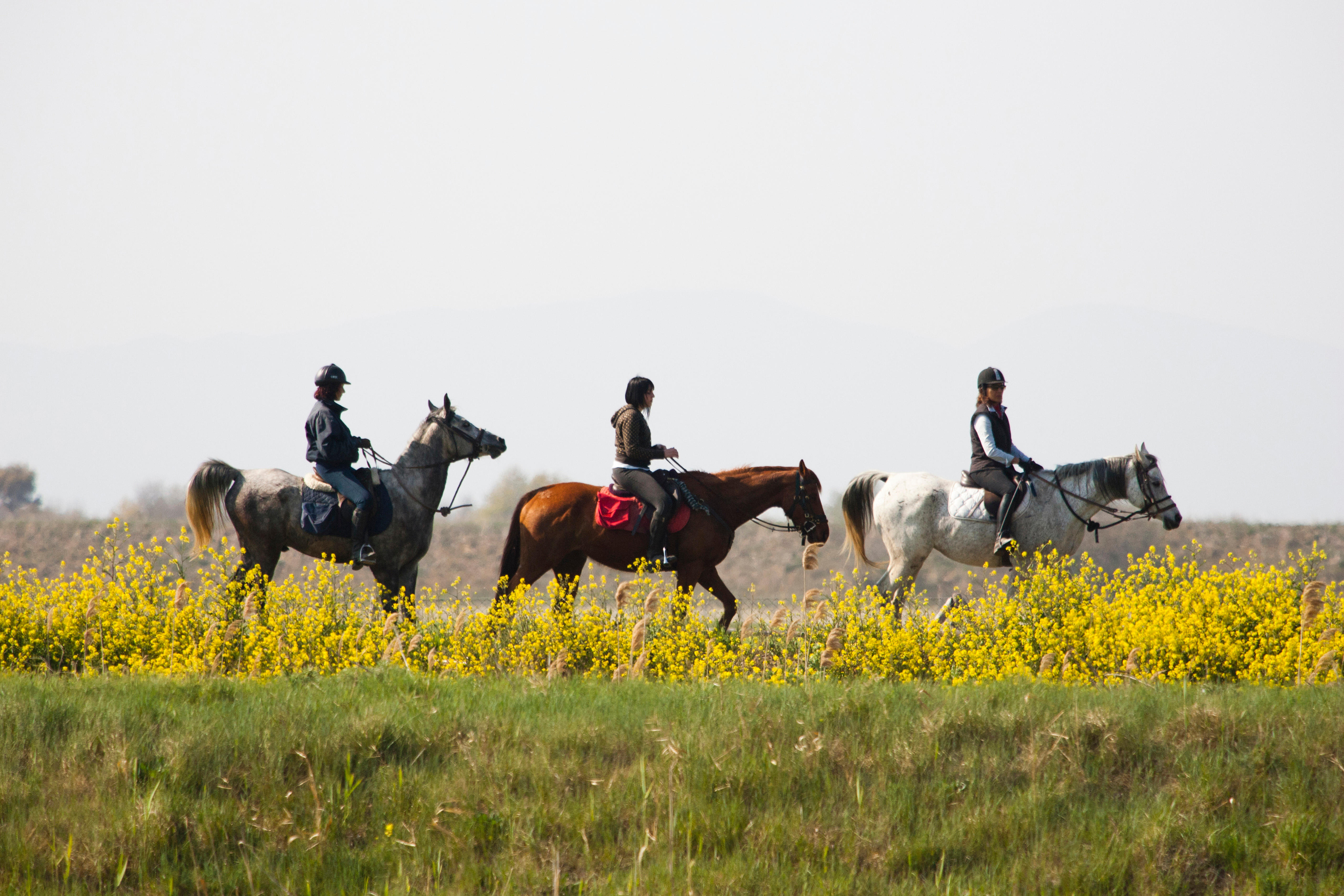 Luxury horseriding holidays saddle up in these stylish locations