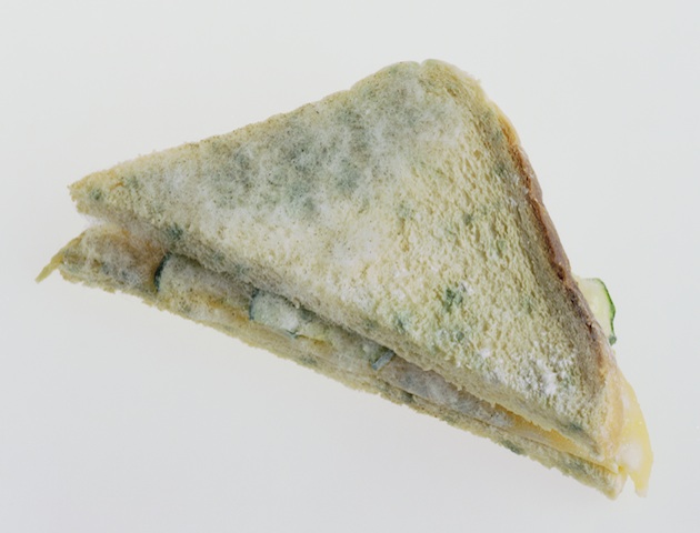 Makanan berjamur