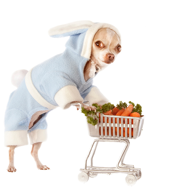 dog pushing shopping trolley
