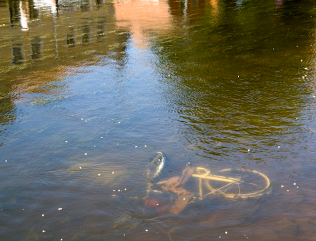 iStockphoto